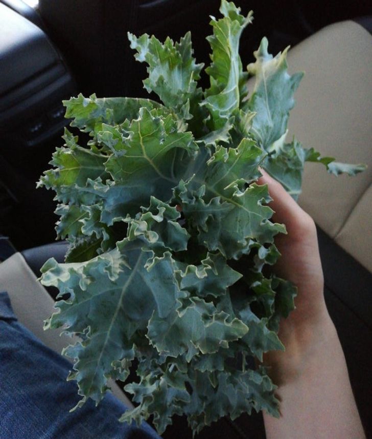 f4cae954679041bd1af4780df1