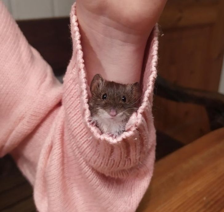 f4cf595309bbed0de86103ccc3