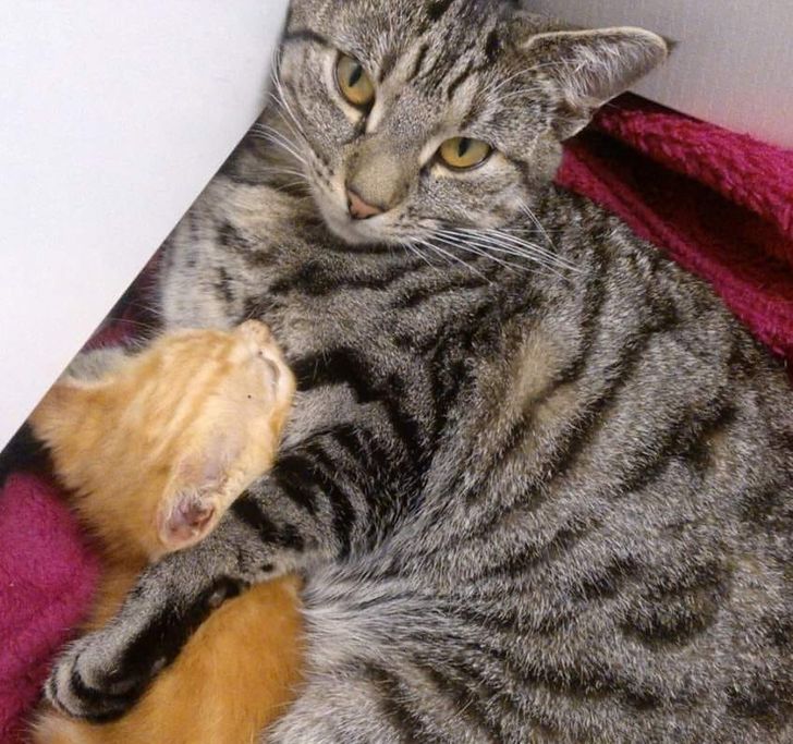 f4d45553a08bb873912633505c