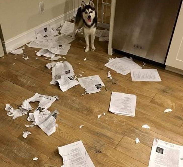 f4d5a05eefaa4ed9a200ba0aad