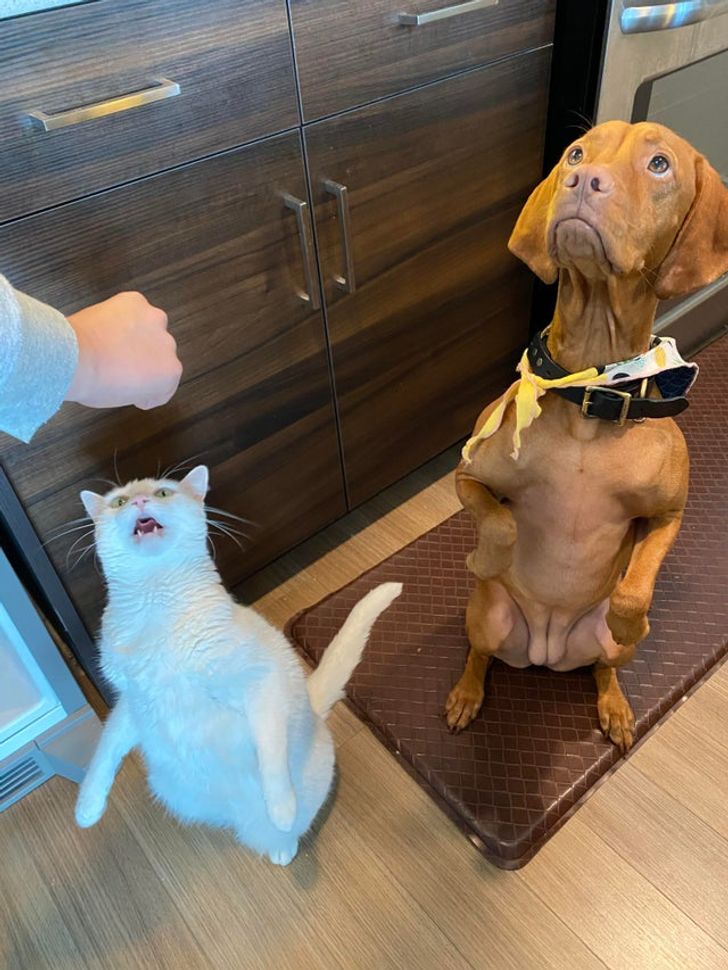 f4de30540493e97b842c5d8658