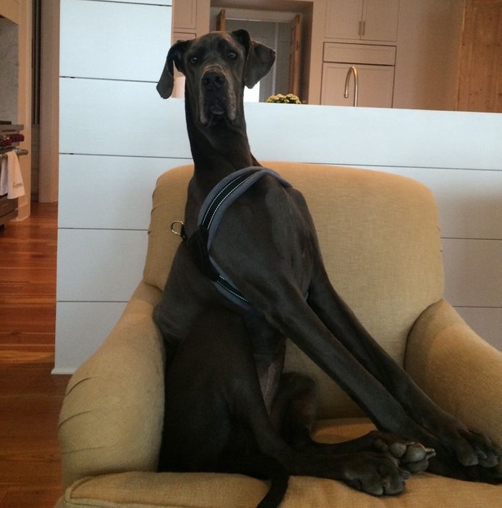 f4e2e35d34b0916c7a5e1b9f4a