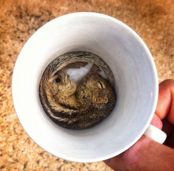 f4e85856bab7f0eb9440eb6326