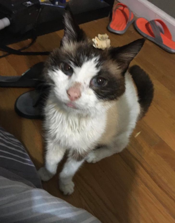 f4e8b553e28ae8a54091bbf69c