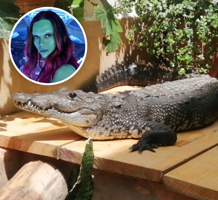 f4ef6250f7902a7fad0714260a