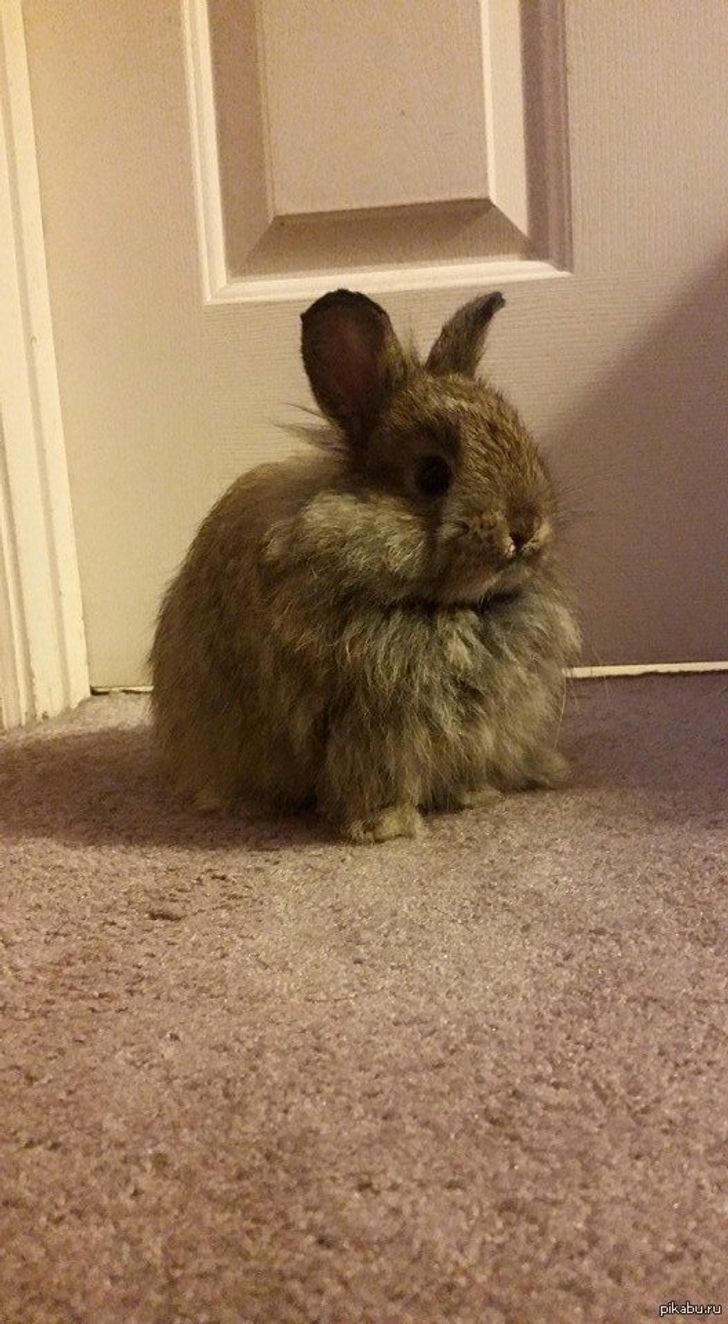 f4fcbe5e24a8f2c5bff7c7b7ea