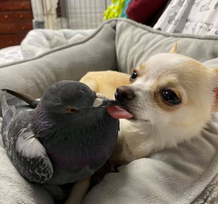 f4fdb95073950b4ee058e8989e