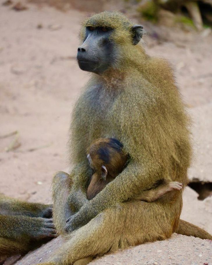 f500495b3fb21abce3c95fb3e4