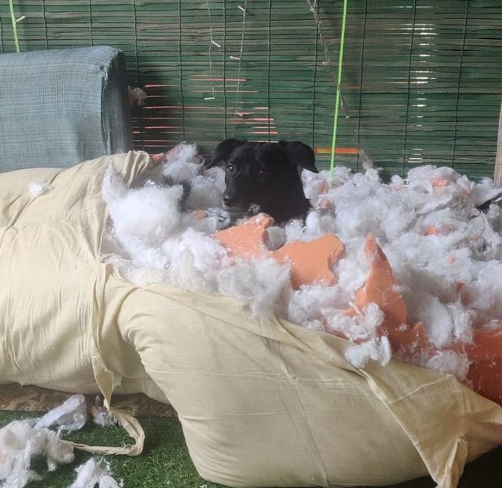 f500495d269014eeb0324b620d