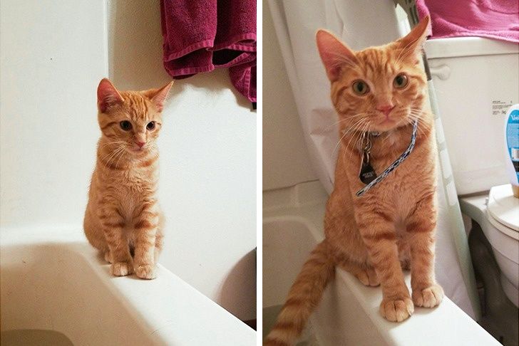 f508745f1a908cdf0d2cda1ba7