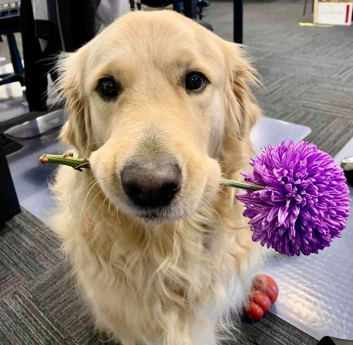 f5090e5cbba74d8913fc972a9f