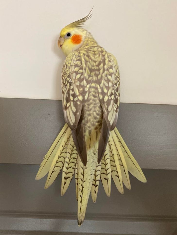 f509355f1194872a2e64ac7380