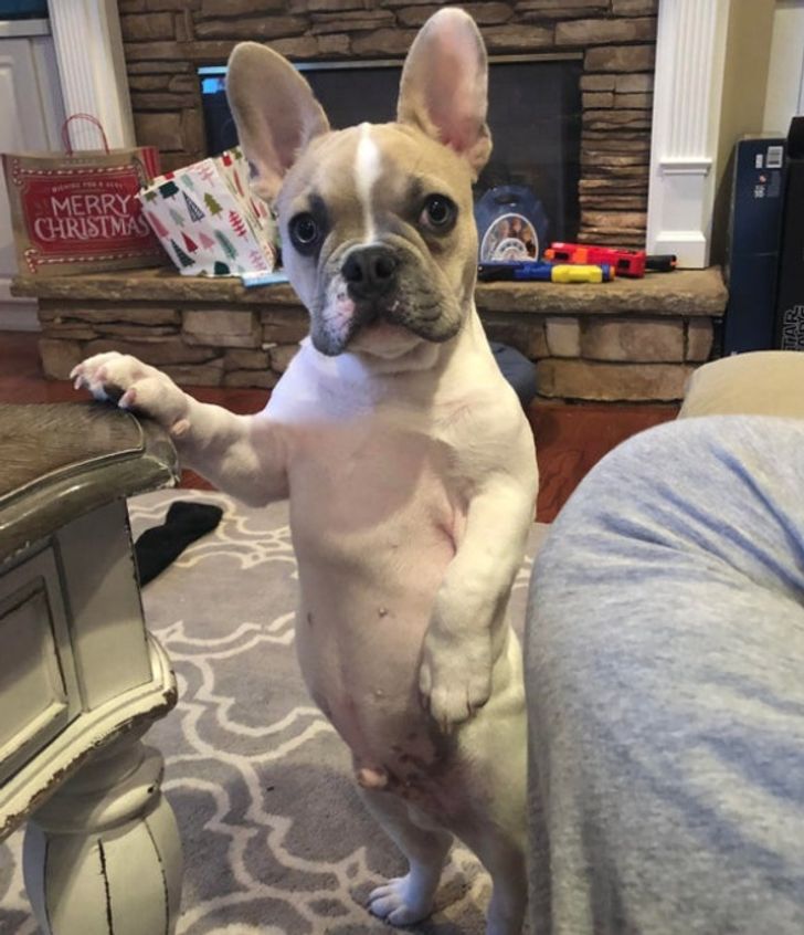 f50c57599cbe9b6237193cf670