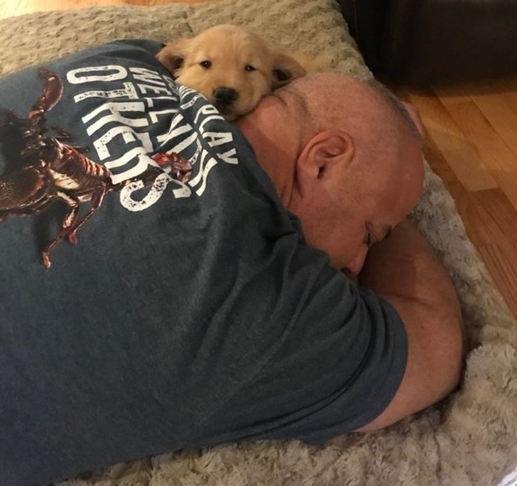 f50df45a5da4bfe3e24001fc02