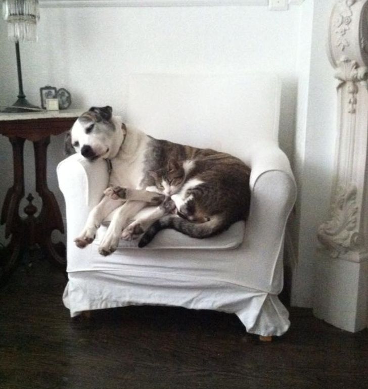 f50ebb5378b70a6ab17a825f27