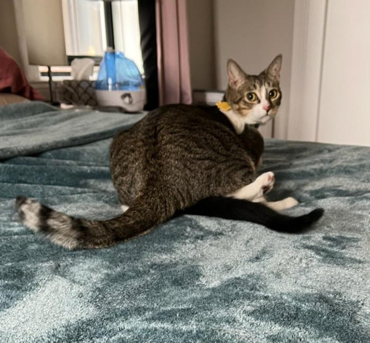 f513c2589f83493588fe7eaf5e