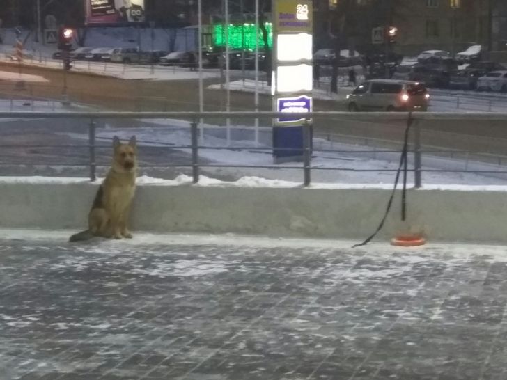 f5152b5b0f80ff0ef39a39b1f8