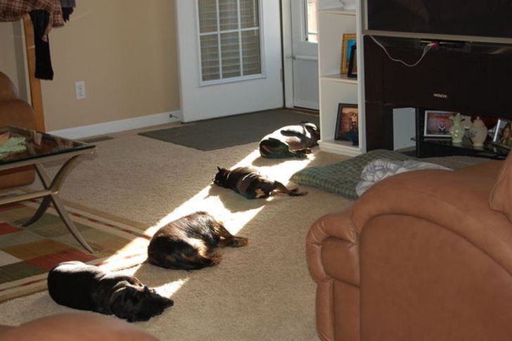 f5152f510fa531b25965c8c6d1