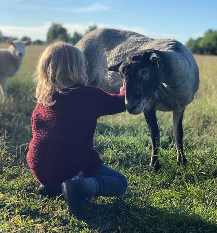 f5169e5ea8a611e0c5a7e6df09 f5169e5ea8a611e0c5a7e6df09