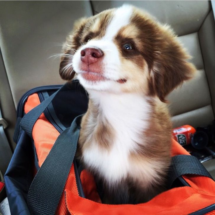 f51a1f58f0a5546a0b1d897515