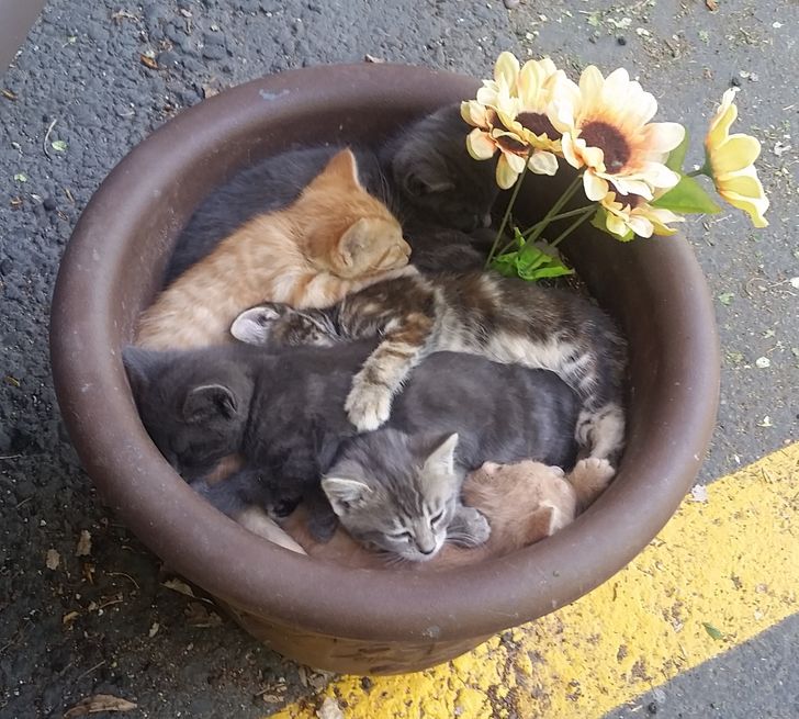 f526bb51b394d0b58f32f21dbc