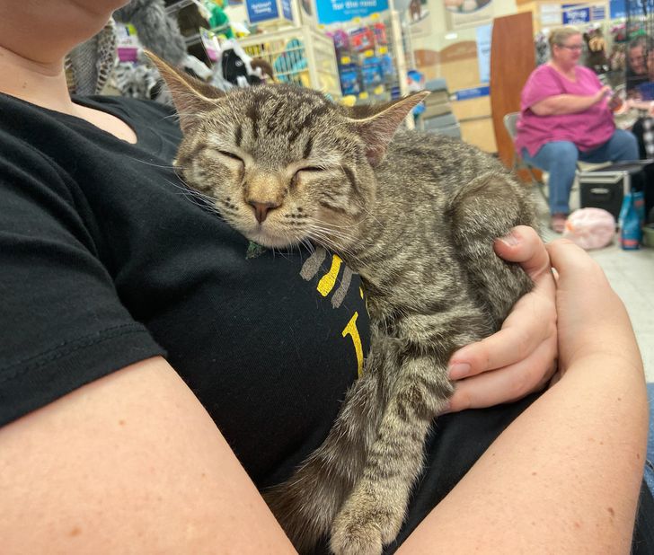 f52cb451818fac7d6b615a5de6