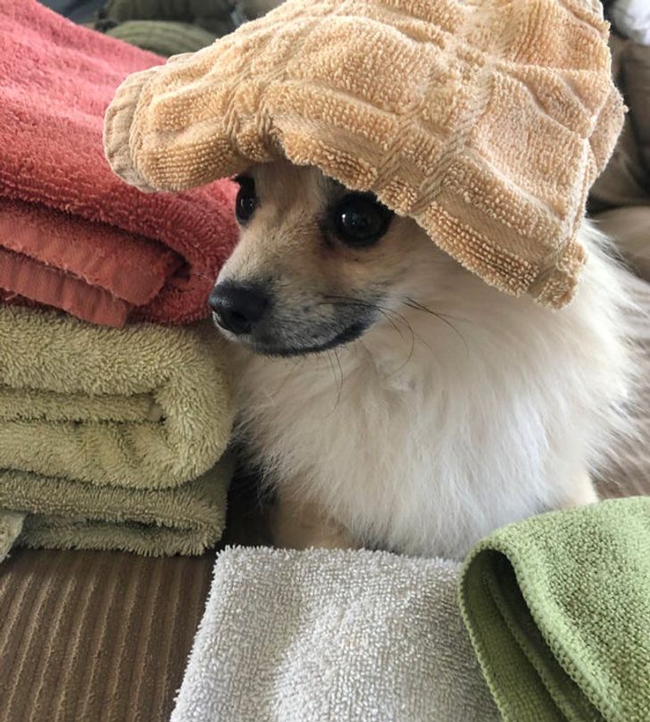 f52d0a51b693b47a66f62720f5