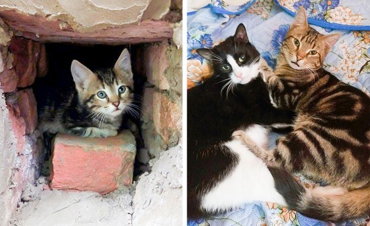 f52e4150f3b63e45c3354bcbd7