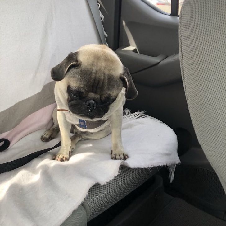 f532d451dbad29ced621262eed