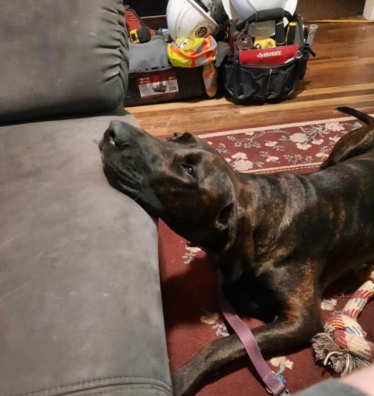 f5334850039a0a1e78bbc53a2d