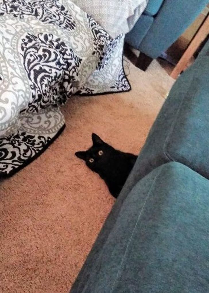 f534cf5d47be1292e5bcd2f486