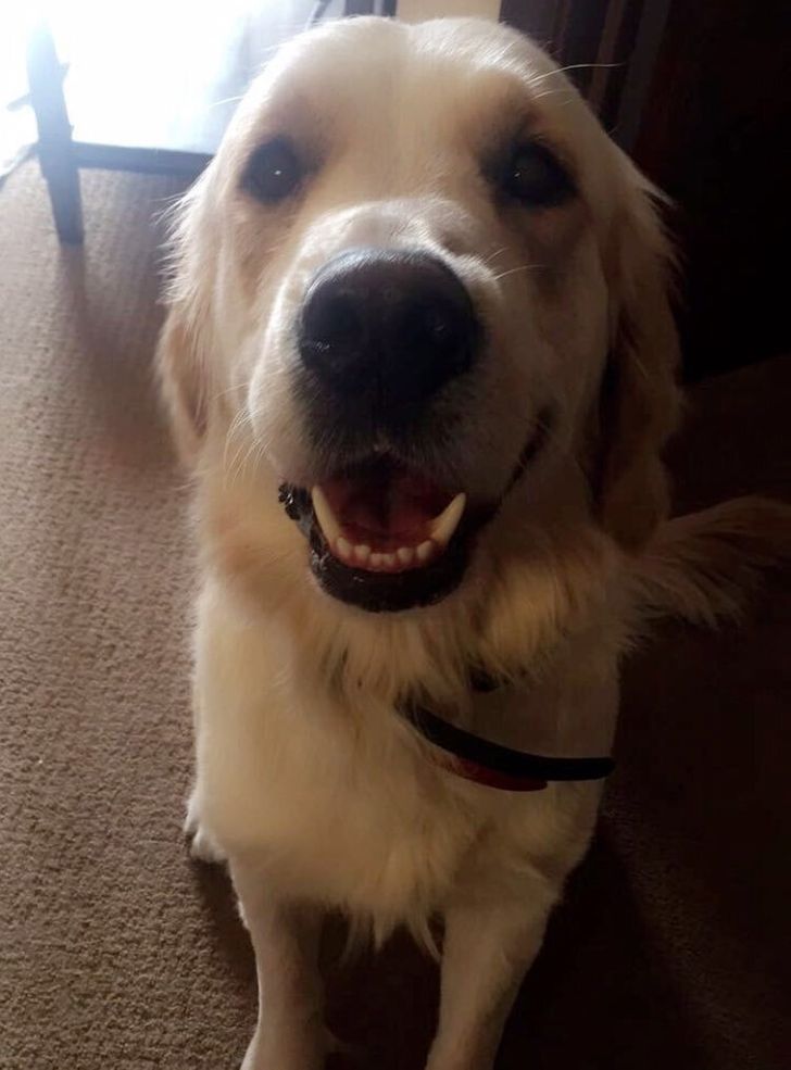 f53500546ab55eca608a198796