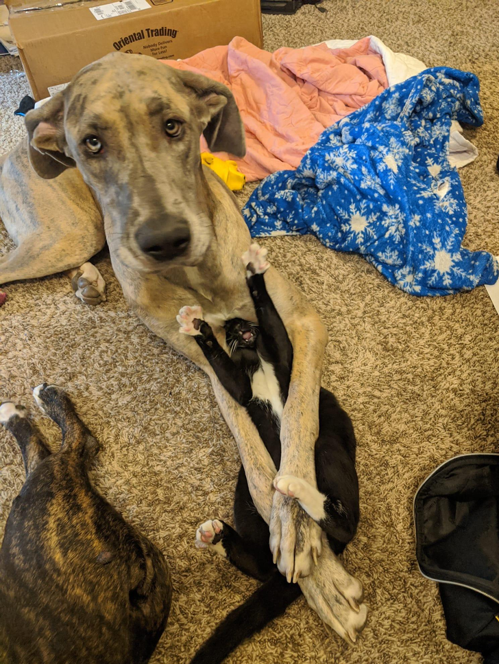 f544e95cf5aecf21de4f546ab3