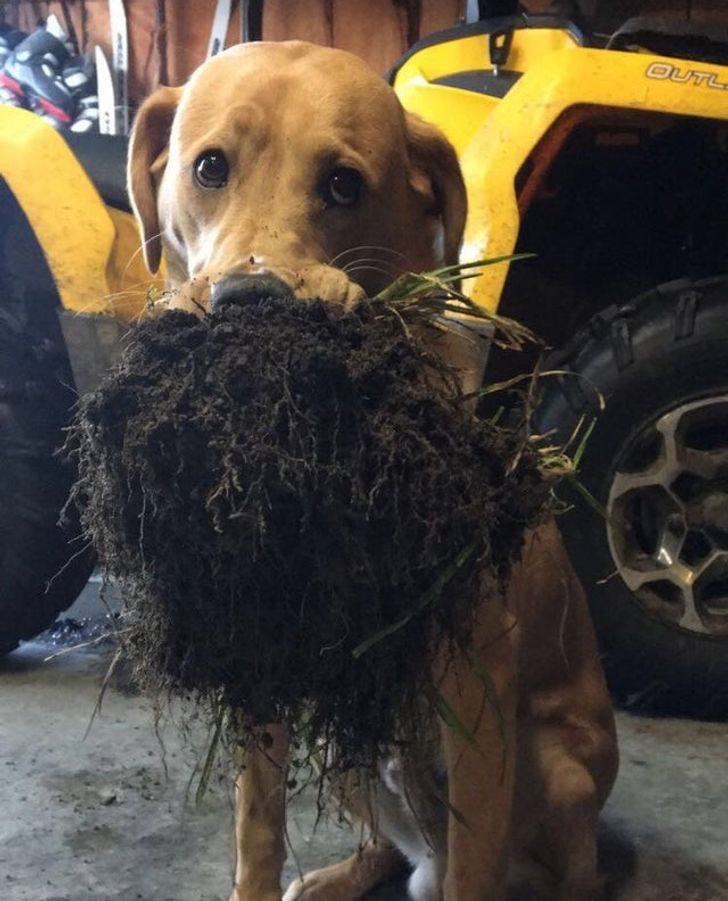 f5542a5133ab44f3a5f902949c