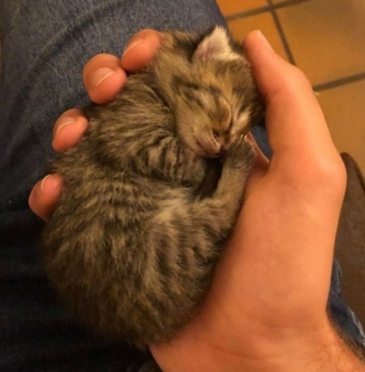 f55487507db782d7a8b76adbd2