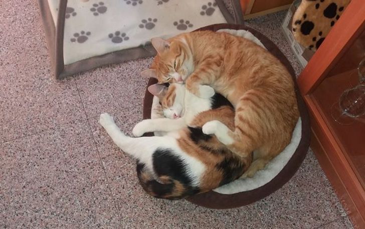 f555cd517a99af8e9e454fcb97