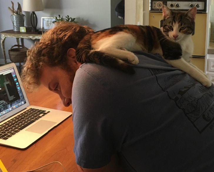 f557db539eac0249c8d4accfb6