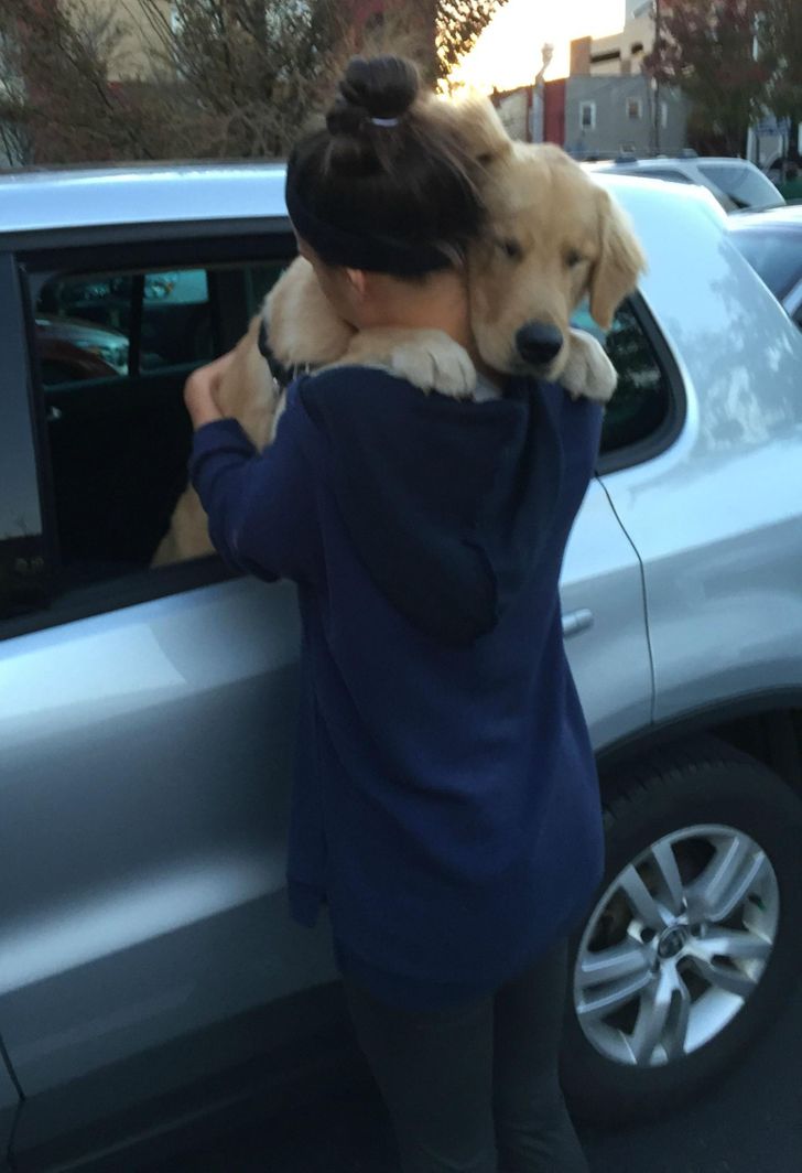 f56a655ea194afc638d30229e2