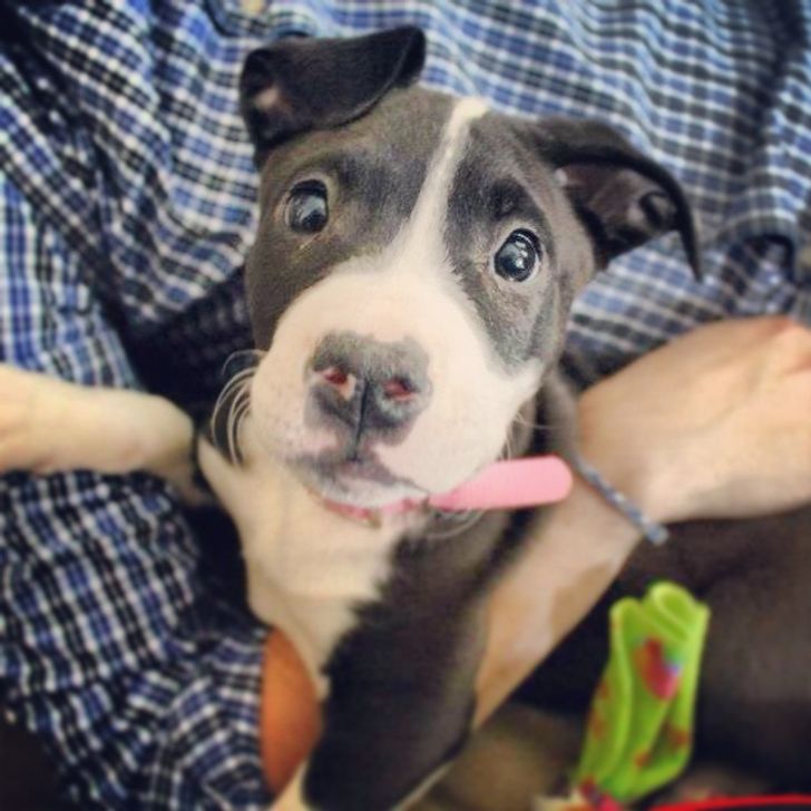 f56ab7588982163d29c340d35b