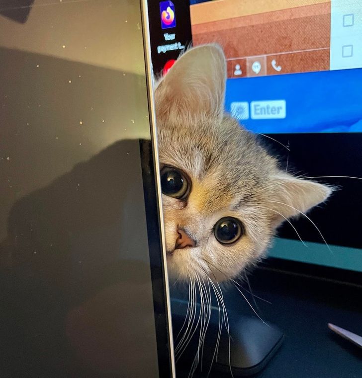 f5723b5a209e3e36dfbfa40878