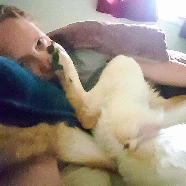 f573c553c49b4387d8e9f695c9