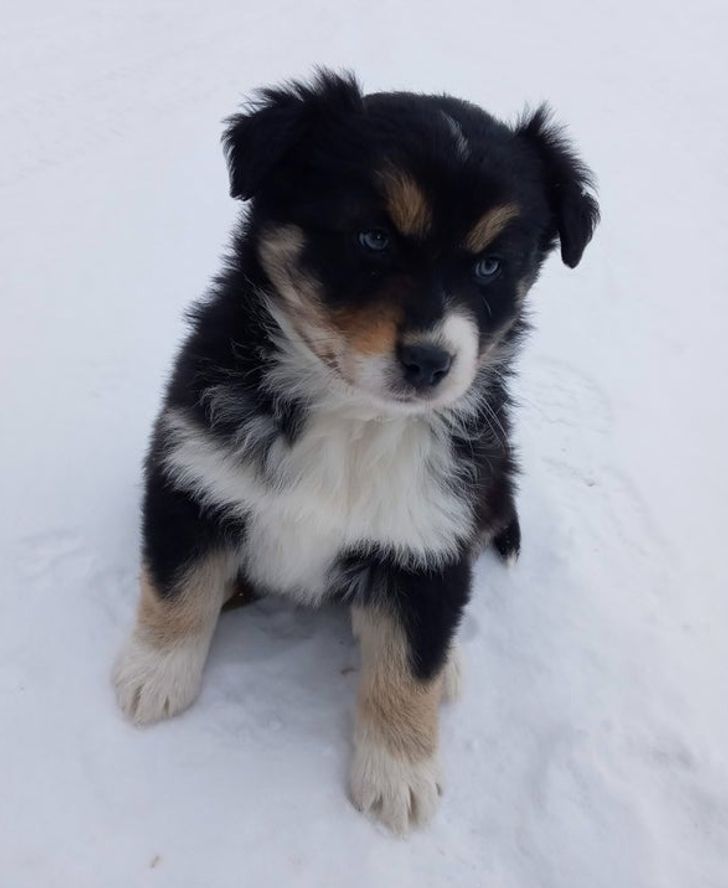 f57803565cb5ee86e9e7f8297c