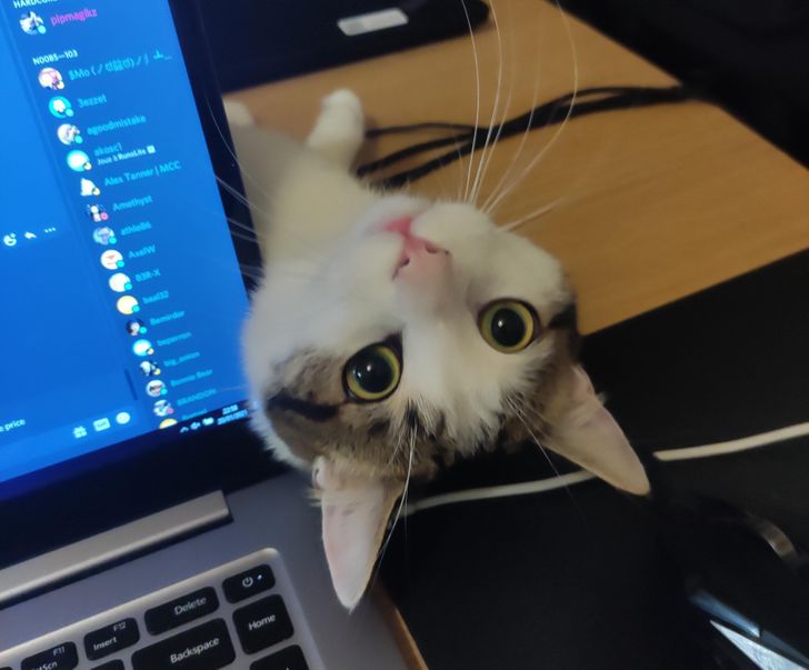 f57cb5580085288c738c744e35 f57cb5580085288c738c744e35