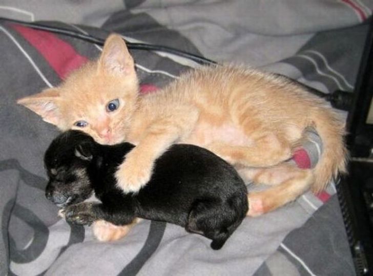 f58b8e51cdb53228cd18bdfcb0