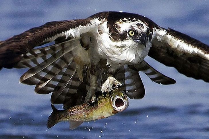 f58bad5b84bd2b6141f066b136