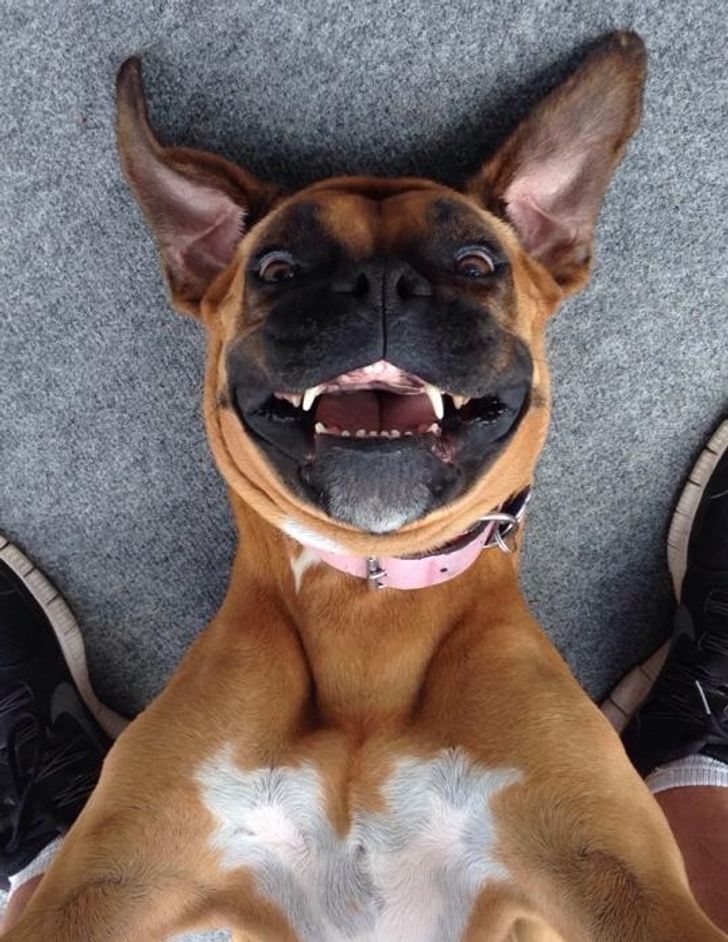 f58f32511e9b2274f57777db29