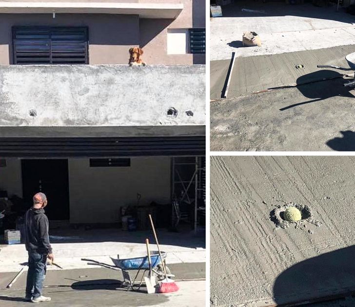 f58fda5a04bbfaf97cde5b1576