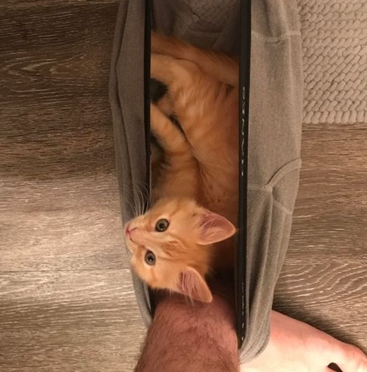 f594f85c63839359ce3b116513