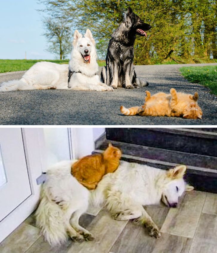 f59a465d8b866a4ae98dd023d2