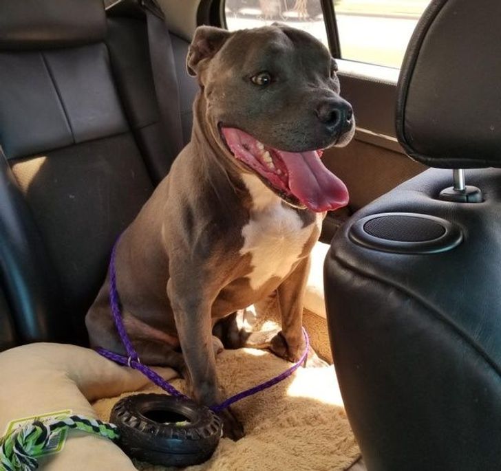 f59d925c1db38ae25072b6d3f6